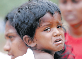 BERNS.PNG (104690 bytes)