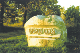 CELS01.PNG (115956 bytes)