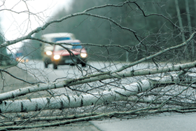 VETRA2.PNG (120338 bytes)