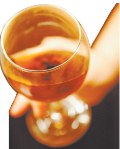 JAUTRIIBAI.PNG (105557 bytes)