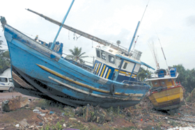 CUNAMI2.PNG (102844 bytes)