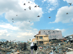 CUNAMI6.PNG (111713 bytes)