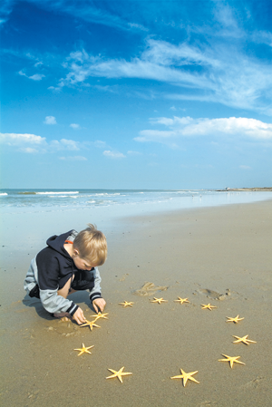 PIRMA.PNG (215153 bytes)