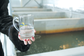 VENTSPILS.PNG (86343 bytes)