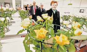 VIKE.PNG (105861 bytes)