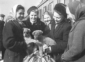 ZELTS3.PNG (50613 bytes)