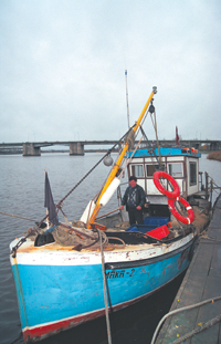 OVISI02.PNG (121201 bytes)