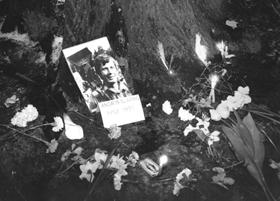 SLAPINS.PNG (66651 bytes)