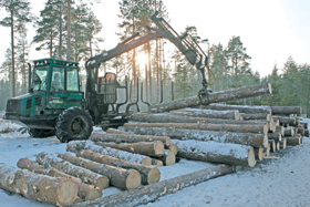 KOKI.PNG (117130 bytes)