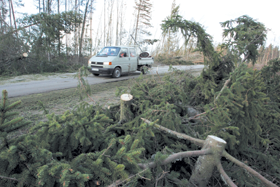 MEZS.PNG (117570 bytes)