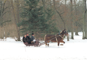 PIRMAAA.PNG (107820 bytes)