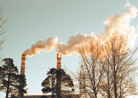 DUMI.PNG (116249 bytes)