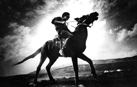 ZIEDONIS1.PNG (38121 bytes)