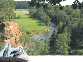 SMUKI.PNG (133103 bytes)