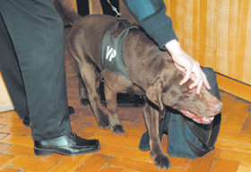 SUNS.PNG (110558 bytes)