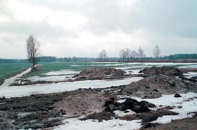 LAUKS.PNG (98136 bytes)