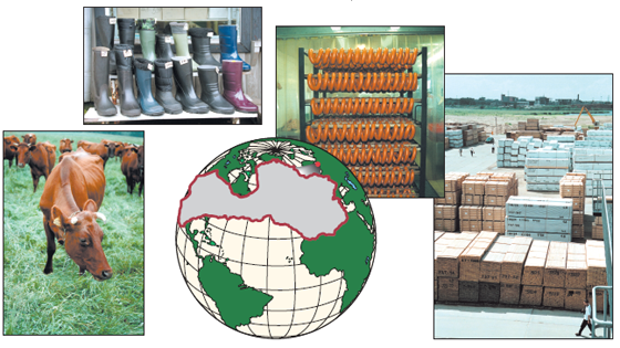 B6.PNG (272683 bytes)