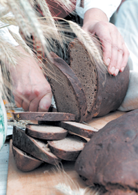 MAIZE.PNG (121575 bytes)