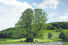 LIEPA1.PNG (103308 bytes)