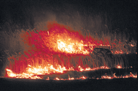 KULA.PNG (96049 bytes)