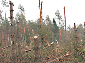 MEZHI_KULDIG.PNG (115731 bytes)