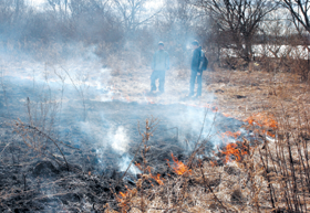 KULA.PNG (127066 bytes)