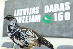 PTICKA.PNG (101416 bytes)