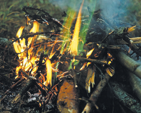 ABUGUNSKURS.PNG (141317 bytes)