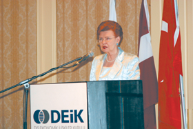 VIKE1.PNG (96328 bytes)