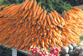 BURKANI.PNG (135229 bytes)