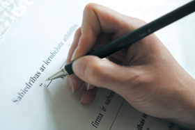 PARAKSTS.PNG (84911 bytes)