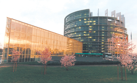 PAVASARIS.PNG (87670 bytes)