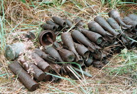 MUNICIJA2.PNG (147631 bytes)