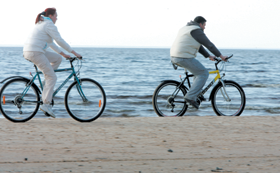 BRAUC.PNG (82999 bytes)