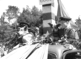 ZUNDA18-3.PNG (42938 bytes)