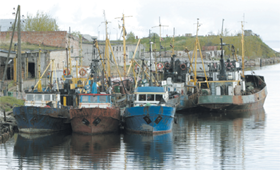 KUTERIO.PNG (96110 bytes)