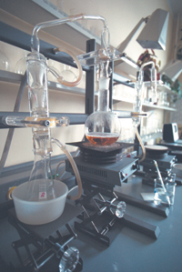 KOLBAS.PNG (120529 bytes)