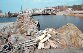 ZVEJA.PNG (120615 bytes)