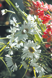 LIGO04.PNG (138815 bytes)