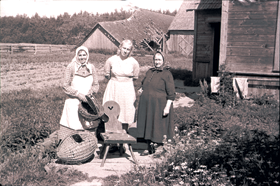 SELIJA2.PNG (121635 bytes)