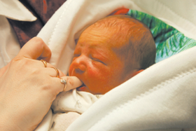 BEBIS.PNG (92960 bytes)