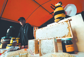 MEDUS.PNG (107573 bytes)