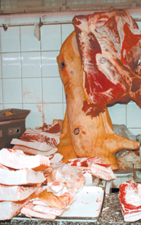 GALA.PNG (145632 bytes)