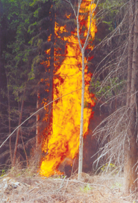 UGUNSGREKS.PNG (138556 bytes)