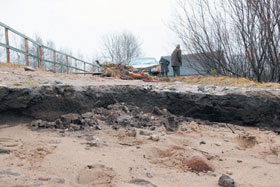 CELS3.JPG (17719 bytes)