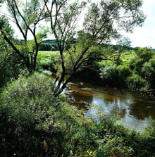 VAIDAVA.JPG (24407 bytes)