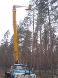 AAA.JPG (18533 bytes)