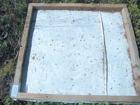 PLANSETEMIGLOTAJA.JPG (19156 bytes)