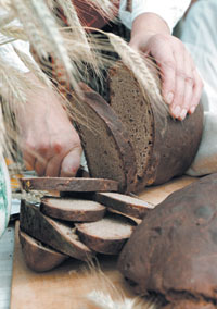 MAIZE.JPG (18371 bytes)