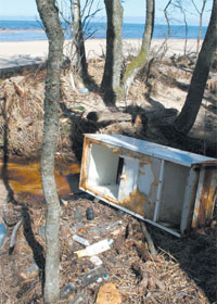 SHMUCE.JPG (24764 bytes)